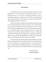 THỰC TRẠNG CÔNG TÁC THẨM ĐỊNH TÀI CHÍNH DỰ ÁN VAY VỐN TẠI NGÂN HÀNG PHÁT TRIỂN NHÀ ĐỒNG BẰNG SÔNG CỬU LONG.docx