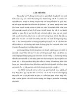 Một số giải pháp nhằm phát triển thị trường tiêu thụ sản phẩm của công ty TNHH sản xuất, thương mại & dich vụ Đức-Việt.DOC