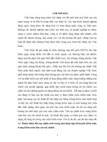 Hoàn thiện thủ tục phân tích trong giai đoạn lập kế hoạch kiểm toán trong kiểm toán báo cáo tài chính.DOC