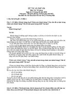 nhu cầu vốn lưu động trong cho vay theo món đối với một phương án kinh doanh .doc