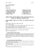 Phân tích chiến lược kinh doanh của công ty thương mại hà nội.doc