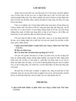 Quá trình hình thành và phát triển của Công ty kiểm toán Việt Nam (VACO)..DOC