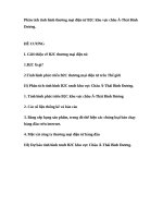 Phân tích tình hình thương mại điện tử B2C khu vực châu Á-Thái Bình Dương.doc