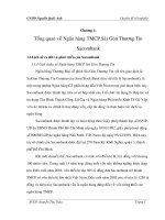 Tổng quan về ngân hàng cổ phần thương mại saccombank.doc