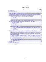 năng lực cạnh tranh của hàng hoá Việt Nam khi gia nhập WTO.doc.DOC