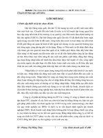 Một số giải pháp nhằm nâng cao hiệu  quả hoạt động nhập khẩu của công ty cổ phần hệ thống thông tin FPT .DOC