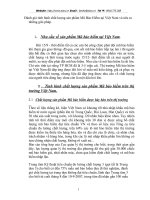 Đánh giá tình hình chất lượng sản phẩm Mũ Bảo Hiểm tại Việt Nam và nêu ra những giải pháp.DOC