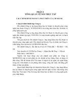 TÌNH HÌNH HOẠT ĐỘNG CỦA CHI NHÁNH CÔNG TY ỨNG DỤNG KHKT VÀ CHUYỂN GIAO CÔNG NGHỆ MỚI THỜI GIAN QUA (TỪ 2000 - 2002).DOC