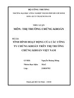 Tình hình hoạt động của các công ty chứng khoán trên thị trường chứng khoán việt nam.doc