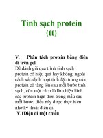 Tinh sạch Protein (tiếp)