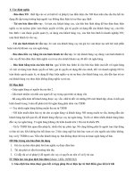 Phạm vi bảo đảm tiền vay của tài sản.doc