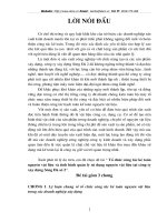 Tổ chức công tác kế toán nguyên vật liệu và tình hình quản lý sử dụng nguyên vật liệu tại công ty xây dựng Sông Đà số 2.DOC