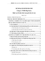 KẾ HOẠCH KINH DOANH Công ty TNHH Big Party Dịch vụ tổ chức tiệc trọn gói cho trẻ em.DOC