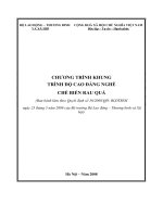 Văn bản Chương trình khung trình độ cao đẳng nghề chế biến rau qua.doc