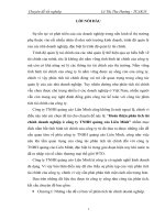 Hoàn thiện phân tích tài chính doanh nghiệp ở công ty TNHH quảng cáo Liên Minh.docx