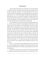 Kiểm toán nội bộ - Công cụ hữu hiệu của hoạt động kiểm soát.DOC