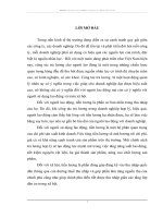 Một số giải pháp nhằm hoàn thiện công tác trả lương tại Công ty cổ phần hoá chất Việt Trì.DOC