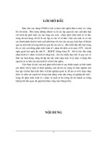 Mục tiêu xây dựng CNXH ở nước ta theo chủ nghĩa Mac Lenin và tư tưởng hồ chí minh.DOC