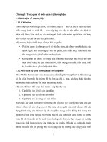 Quản trị thương hiệu Gạo Việt Nam.doc