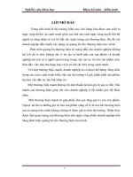 Giải pháp phát triển thương hiệu của hệ thống siêu thị Co.opamart tại thị trường Hà Nội.doc