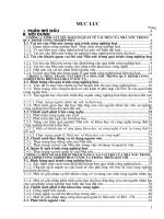 Vai trò của Nhà nước đối với quá trình công nghiệp hoá hiện đại hoá ở nước ta.DOC