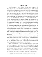 Kế toán tiêu thụ và xác định kết quả tiêu thụ hàng hoá ở Công ty cổ phần Gas Petrolimex.DOC
