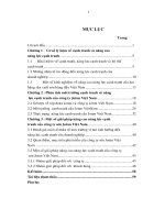 Nâng cao năng lực cạnh tranh của công ty sơn Jotun Việt Nam.pdf