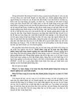 Hoàn thiện cụng tỏc kế toỏn tiờu thụ thành phẩm, hàng hỳa trong doanh nghiệp sản xuất kinh doanh.DOC