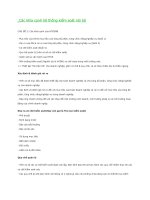 Các khía cạnh hệ thống kiểm soát nội bộ.docx