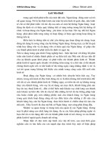 Rủi ro tín dụng và một số phương pháp phòng ngừa rủi ro tín dụng tại NHTM Việt Nam.doc