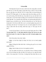 Việt Nam gia nhập WTO - Cơ hội thâm nhập thị trường Việt Nam của các tập đoàn bán lẻ quốc tế và một số tác động của nó đối với doanh nghiệp trong nước.doc.DOC