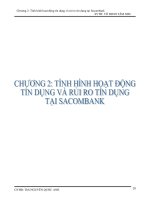 Tình hình hoạt động tín dụng và rủi ro tín dụng tại Sacombank.doc