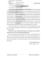 Thực trạng và một số giải pháp nhằm nâng cao chất lượng công tác thẩm định dự án đầu tư xin vay vốn tại Ngân hàng TMCP Quân Đội.docx