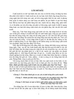 Tiêu thức, đánh giá khả năng cạnh tranh của sản phẩm giầy dép Việt Nam.doc.DOC