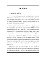 Một số giải pháp phát triển hoạt động môi giới chứng khoán tự do ở Việt Nam.doc