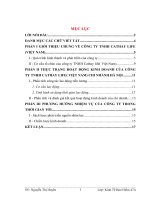 THỰC TRẠNG HOẠT ĐỘNG KINH DOANH CỦA CÔNG TY TNHH CATHAY LIFE( VIỆT NAM) CHI NHÁNH HÀ NỘI.DOC