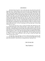 Một số ý kiến về kênh phân phối xe máy tại công ty cotimex đà nẵng.doc