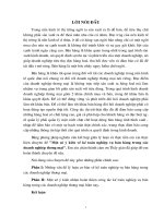 Một số ý kiến về kế toán nghiệp vụ bán hàng trong các doanh nghiệp thương mại.DOC