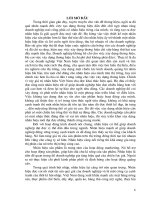 Một số giải pháp nhằm hoàn thiện chiến lược xây dựng nhãn hiệu ceramic Hồng Hà (2).DOC