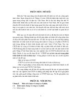 CTCP và vai trò của nó trong phát triển kinh tế ở nước ta hiện nay.DOC