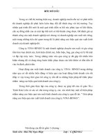 Giải pháp nâng cao hiệu quả sản xuất kinh doanh của công ty Vina - Bingo.doc