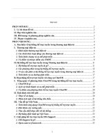 Hệ thống hỗ trợ trực tuyến trong Thương mại điện tử.doc.DOC