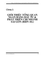 GIỚI THIỆU TỔNG QUAN NGÂN HÀNG ĐẦU TƯ & PHÁT TRIỂN CHI NHÁNH SÀI GÒN (BIDV-SG).doc