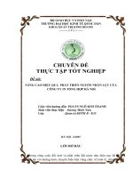 Nâng cao hiệu quả phát triển nguồn nhân lực của Công ty in tổng hợp Hà Nội.docx