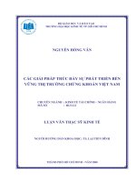 Các biện pháp thúc đẩy sự phát triển bền vững của thị trường chứng khoán Việt Nam.pdf