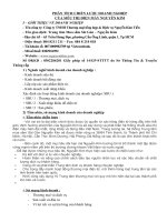 Phân tích chiến lược doanh nghiệp của siêu thị điện máy nguyễn kim.doc