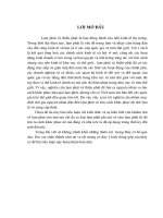 diễn biến của lạm phát phi mã và siêu  lạm phát ở nước ta.DOC