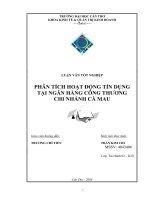 PHÂN TÍCH HOẠT ĐỘNG TÍN DỤNG TẠI NGÂN HÀNG CÔNG THƯƠNG.doc