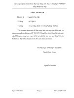 Một số giải pháp nhằm thúc đẩy hoạt động tiêu thụ ở Công Ty CP thương mại DV Tổng Hợp Việt Nga.doc