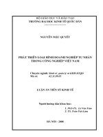 Phát triển loại hình doanh nghiệp tư nhân trong công nghiệp tại Việt Nam.pdf